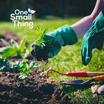 Gardening Club at Carnegie Library - Ayr